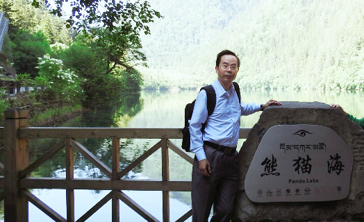 正规博彩网站