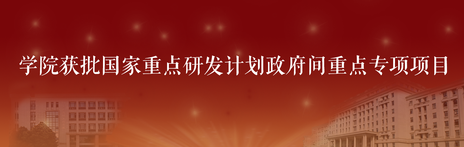 正规博彩网站